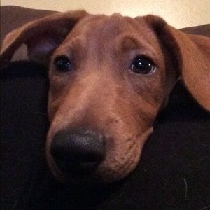 Meet your Posher, Toni lynn